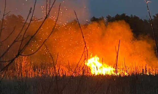 Wenham Fire Battles Large Brush Fire