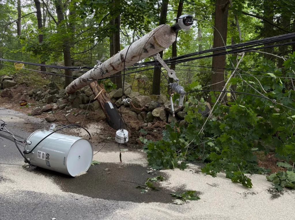 Electric pole lay on side, at angle, in wooded area