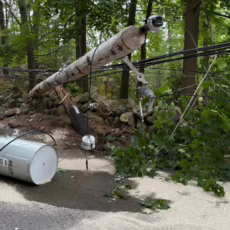 Electric pole lay on side, at angle, in wooded area