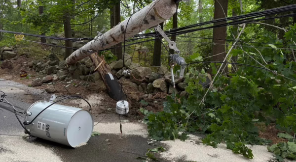 Wenham Fire, Police Departments Respond to Rollover Crash Electric pole lay on side, at angle, in wooded area